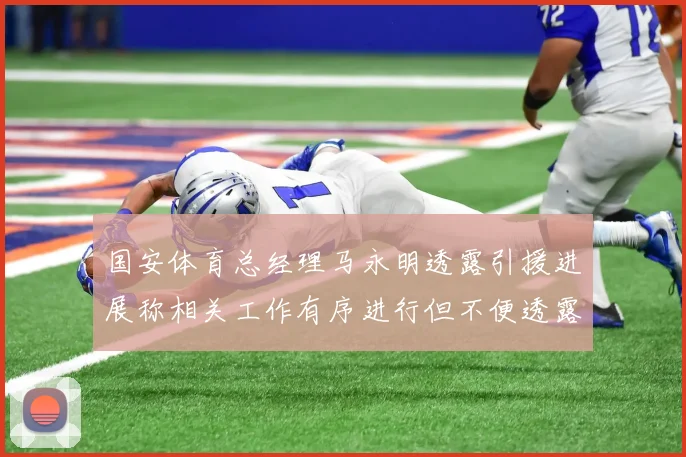 国安体育总经理马永明透露引援进展称相关工作有序进行但不便透露名字