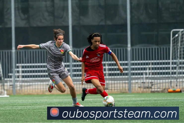 欧宝体育发展历程